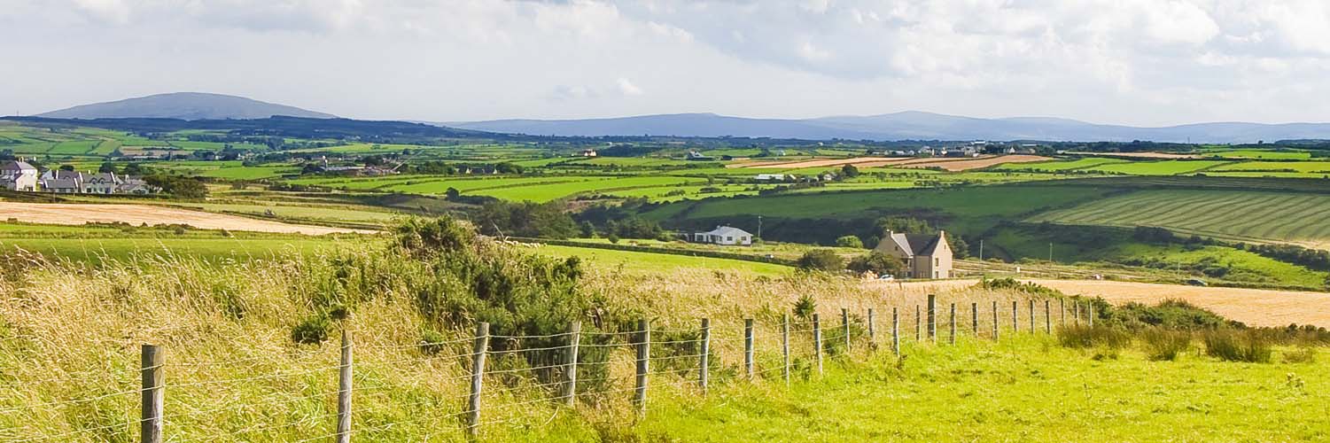 Norsemen Auction Gimli, MB Auction services for Vehicles, Real